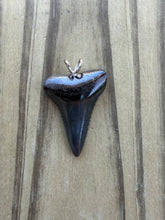 Load image into Gallery viewer, Authentic Great White Shark Tooth Pendant Necklace - 1 5/16" Fossil
