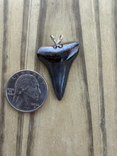 Load image into Gallery viewer, Authentic Great White Shark Tooth Pendant Necklace - 1 5/16" Fossil
