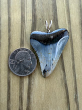 Load image into Gallery viewer, Polished Great White Shark Tooth Necklace Pendant - 1 3/4 Inch Fossil
