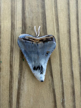 Load image into Gallery viewer, Polished Great White Shark Tooth Necklace Pendant - 1 3/4 Inch Fossil
