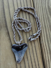 Load image into Gallery viewer, Polished Great White Shark Tooth Necklace Pendant - 1 3/4 Inch Fossil
