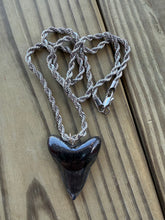 Load image into Gallery viewer, Polished Great White Shark Tooth Necklace Pendant - 1 5/8 Inch Fossil
