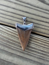 Load image into Gallery viewer, 1 3/4 Inch Fossilized Mako Shark Tooth Pendant | Sterling Silver Bezel | Handmade in USA

