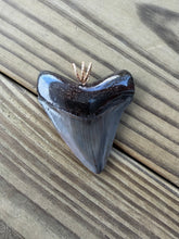 Load image into Gallery viewer, 2 1/8 Inch Fossilized Megalodon Shark Tooth Pendant | Handmade in USA

