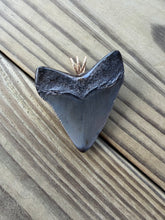 Load image into Gallery viewer, 2 1/8 Inch Fossilized Megalodon Shark Tooth Pendant | Handmade in USA
