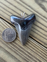 Load image into Gallery viewer, 2 5/16 Inch Fossilized Angustiden Shark Tooth Pendant | Handmade in USA
