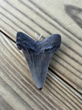Load image into Gallery viewer, 2 5/16 Inch Fossilized Angustiden Shark Tooth Pendant | Handmade in USA
