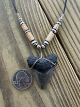 Load image into Gallery viewer, 1 11/16 Inch Megalodon Shark Tooth Necklace | Black Root Gray Blade | Bone Beads
