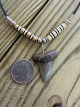 Load image into Gallery viewer, Fossil Mako Shark Tooth Necklace with Black and White Striped Bone Beads 1 3/8 Inch
