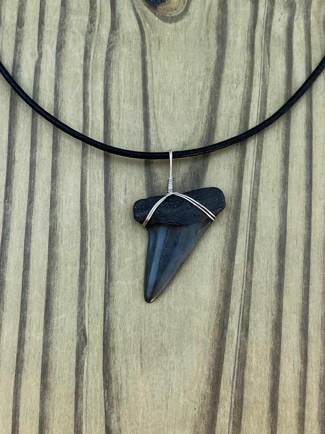 1 5/8 Inch Fossilized Mako Shark Tooth Necklace