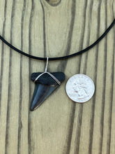 Load image into Gallery viewer, 1 5/8 Inch Fossilized Mako Shark Tooth Necklace
