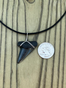 1 5/8 Inch Fossilized Mako Shark Tooth Necklace