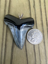Load image into Gallery viewer, 2 1/4 Inch Polished Angustiden Shark Tooth Necklace
