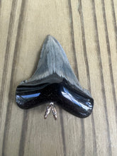 Load image into Gallery viewer, 2 1/4 Inch Polished Angustiden Shark Tooth Necklace
