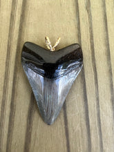 Load image into Gallery viewer, 1 15/16 Inch Polished Megalodon Shark Tooth Necklace
