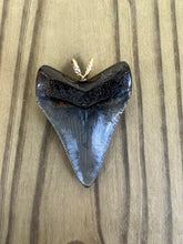 Load image into Gallery viewer, 1 15/16 Inch Polished Megalodon Shark Tooth Necklace
