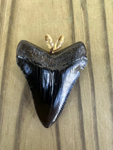 Load image into Gallery viewer, 1 3/4 Inch Polished Megalodon Shark Tooth Necklace

