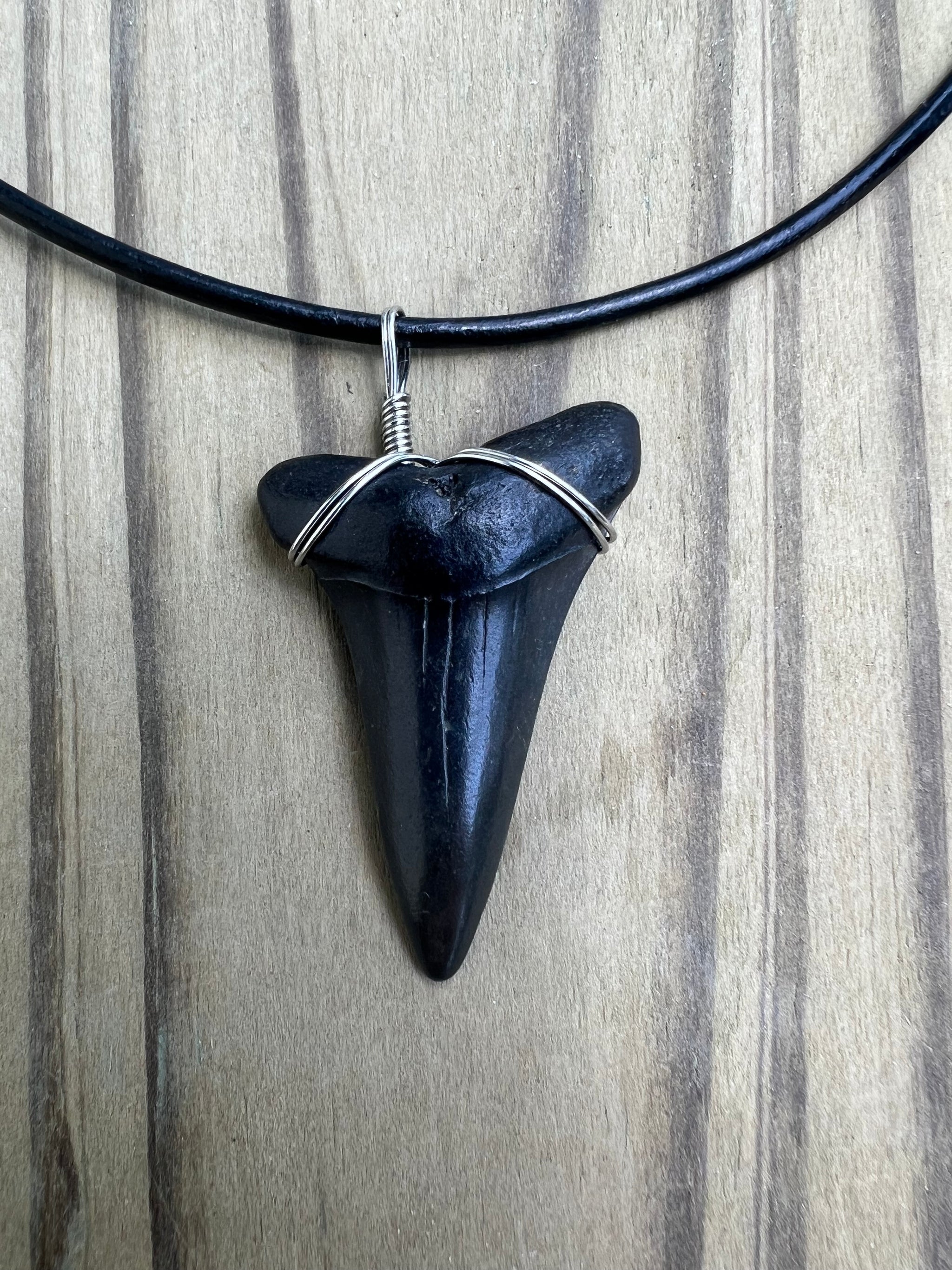Large Tooth Necklaces Real Shark Tooth Necklaces