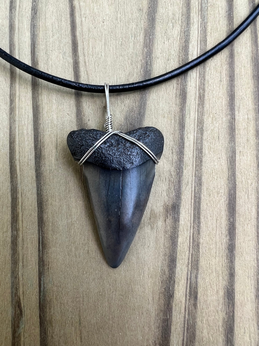 1 9/16 Inch Fossilized Mako Shark Tooth Necklace