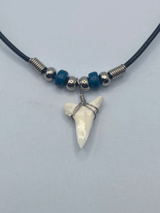 White Shark Tooth Necklace With Dark Blue Beads