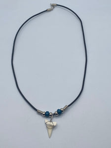 White Shark Tooth Necklace With Dark Blue Beads