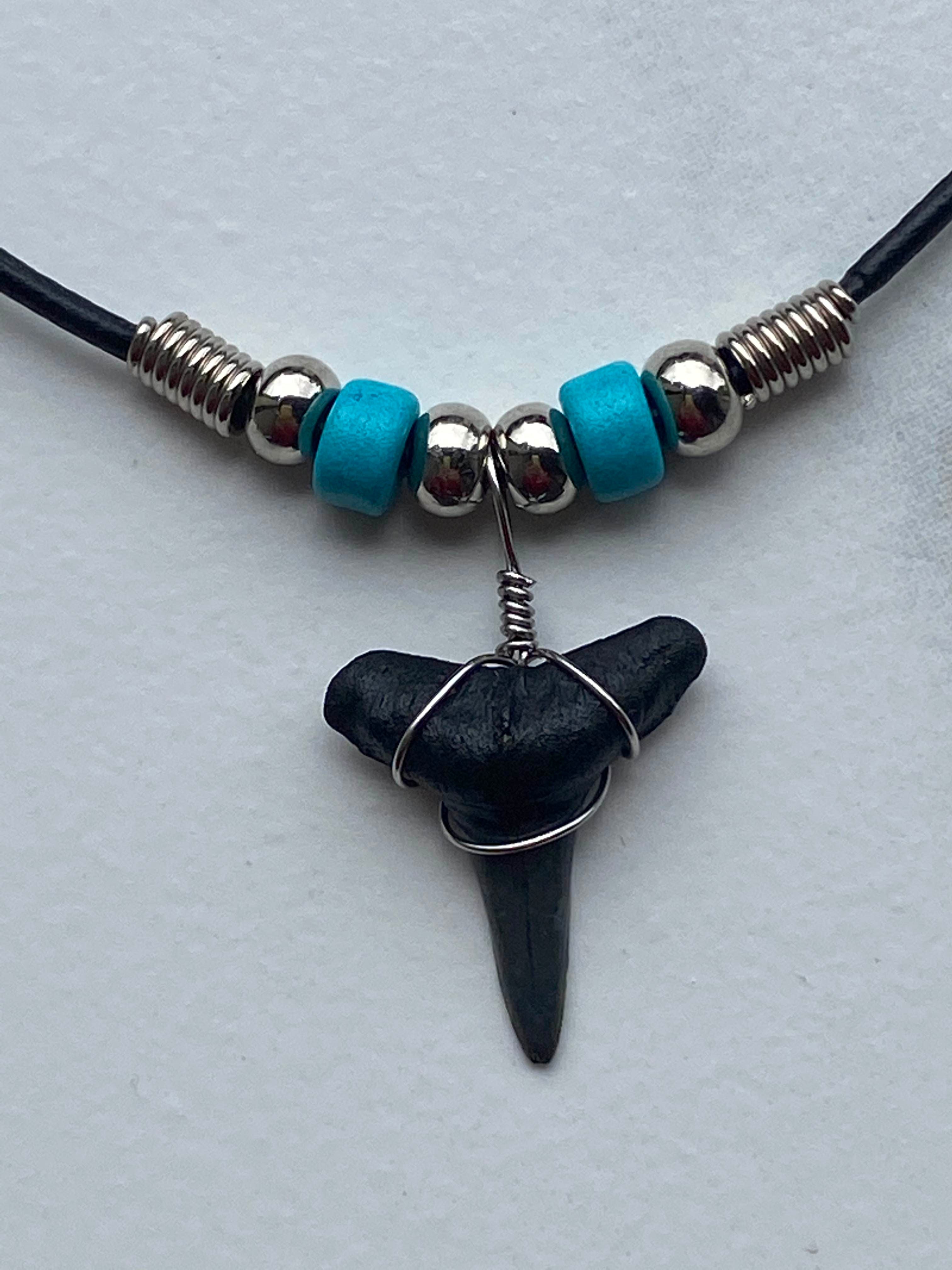 Fossil Hooked White Shark Tooth Necklace - Bakersfield, California  (#240678) For Sale - FossilEra.com