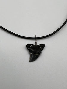 Plain Fossilized Hemipristis Shark Tooth Necklace - 1 Inch Tooth