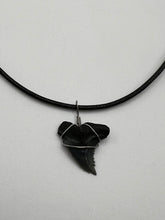 Load image into Gallery viewer, Fossilized Hemipristis Shark Tooth Necklace - 1 Inch Tooth
