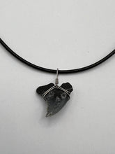 Load image into Gallery viewer, Fossilized Hemipristis Shark Tooth Necklace - 1 Inch Tooth
