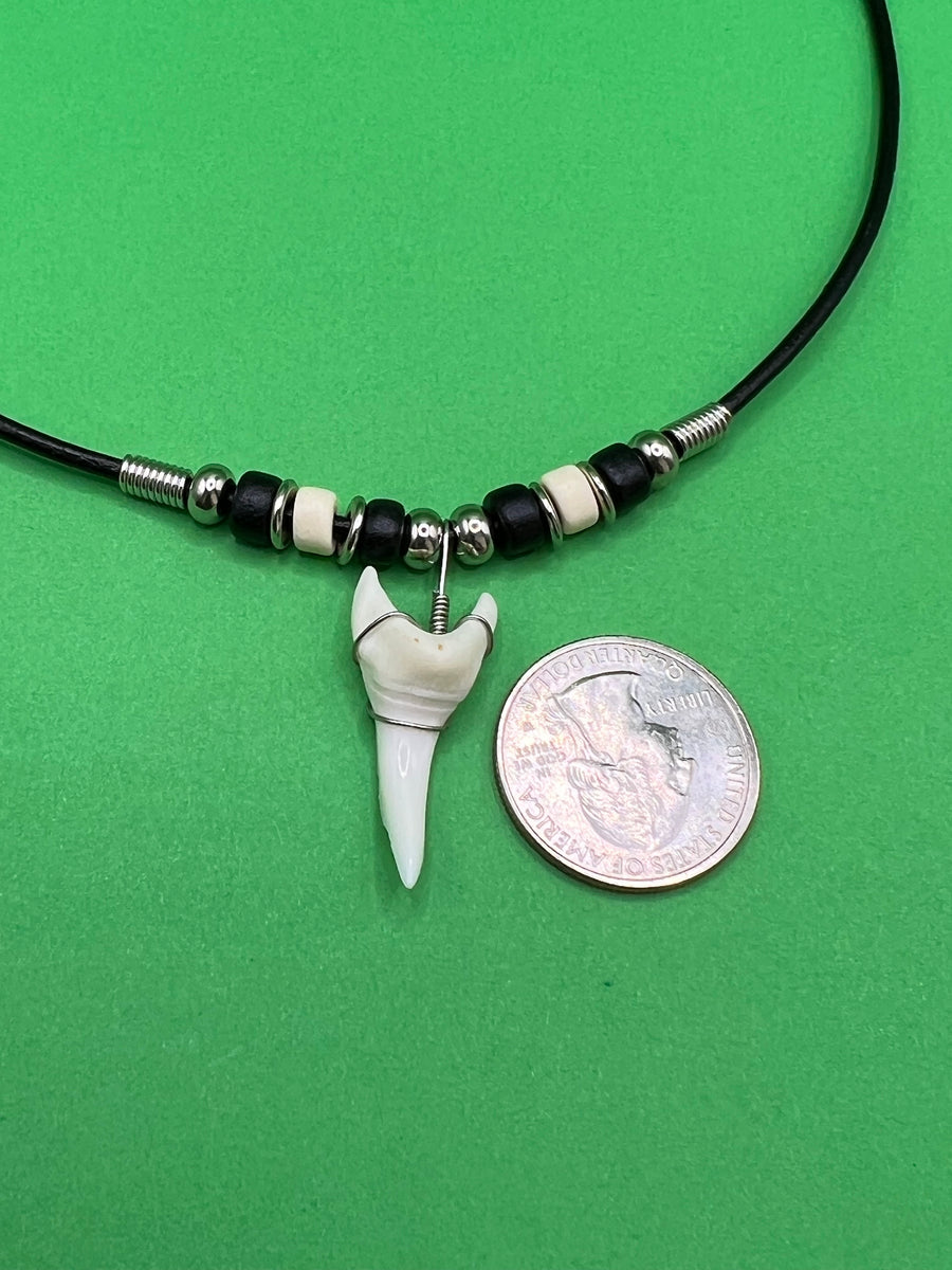 White Shark Tooth Necklace With 3 Bead Design Black and White – Real ...