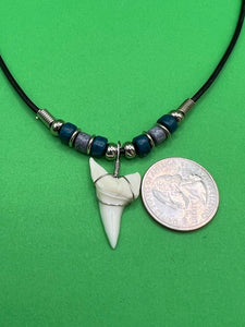 White Shark Tooth Necklace With 3 Bead Design Dark Blue and Gray