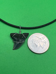 Plain Fossilized Hemipristis Shark Tooth Necklace - 1 Inch Tooth