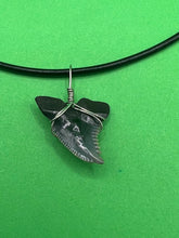 Load image into Gallery viewer, Plain Fossilized Hemipristis Shark Tooth Necklace - 1 Inch Tooth
