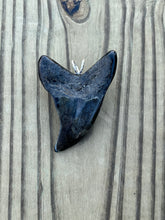 Load image into Gallery viewer, 2 3/4 Inch Turquoise Gemstone Inlayed Benedini Shark Tooth Necklace
