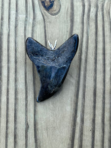 2 3/4 Inch Turquoise Gemstone Inlayed Benedini Shark Tooth Necklace